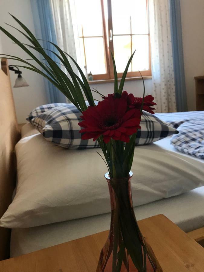 Ferienwohnung Gruber-Hansen Калтенбах Екстериор снимка